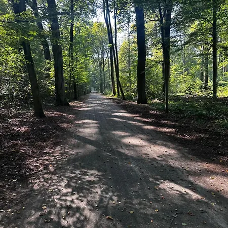 In Het Bos - Gezin - Wandelaars - Digital Nomads - Hs Wifi - Fijnspar 6 Daire