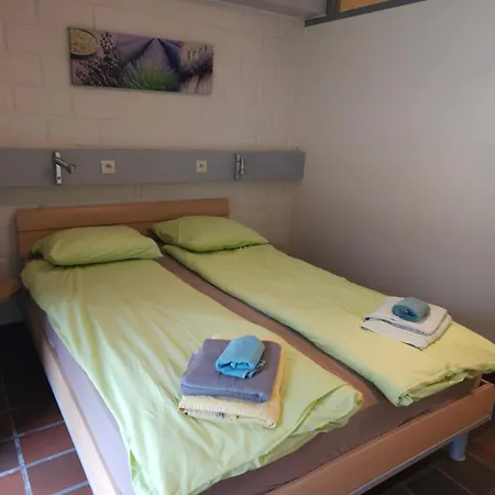 Daire In Het Bos - Gezin - Wandelaars - Digital Nomads - Hs Wifi - Fijnspar 6 *