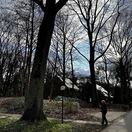 Daire In Het Bos - Gezin - Wandelaars - Digital Nomads - Hs Wifi - Fijnspar 6 Aan de Wolfsberg